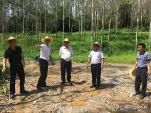 惠州市農(nóng)業(yè)農(nóng)村局副局長(zhǎng)李冠源到龍門(mén)縣現(xiàn)場(chǎng)督查中央環(huán)保督察整改任務(wù)落實(shí)情況