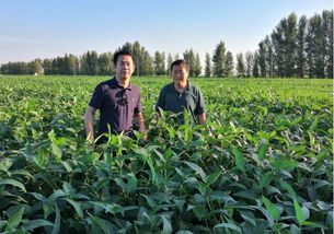 首農(nóng)集團(tuán)京蒙扶貧協(xié)作出實(shí)招