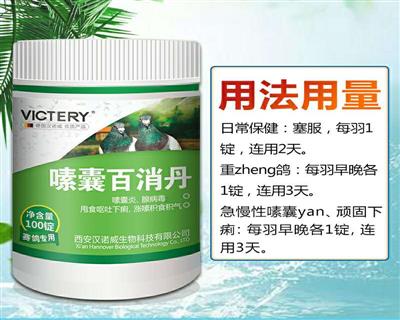 鴿飼料、鴿用品、鴿籠具企業展示展銷平臺_中國鴿業大全_中國信鴿信息網