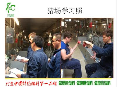 黨廣輝:歐洲現(xiàn)代化高效養(yǎng)豬技術(shù)-荷蘭豬場(chǎng)考察學(xué)習(xí)分享