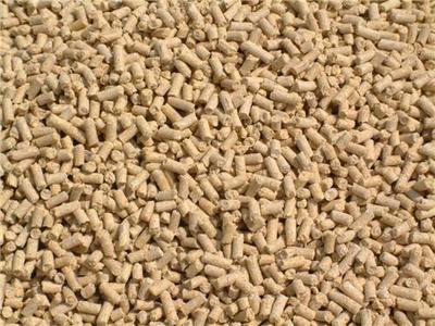 青州市六豐牧業(yè)官方-問一問!【乳豬濃縮飼料生產(chǎn)廠家】哪家靠譜?-六豐、反芻動物營養(yǎng)、肉牛羊飼料、肉牛養(yǎng)殖、肉羊養(yǎng)殖、反芻飼料、