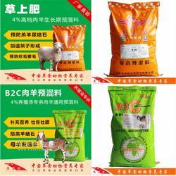 羊吃什么飼料長得快？科學養羊飼料指南