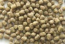 曲阜匯達(dá)農(nóng)林機(jī)械有限責(zé)任公司 飼料科的核心職能與技術(shù)創(chuàng)新